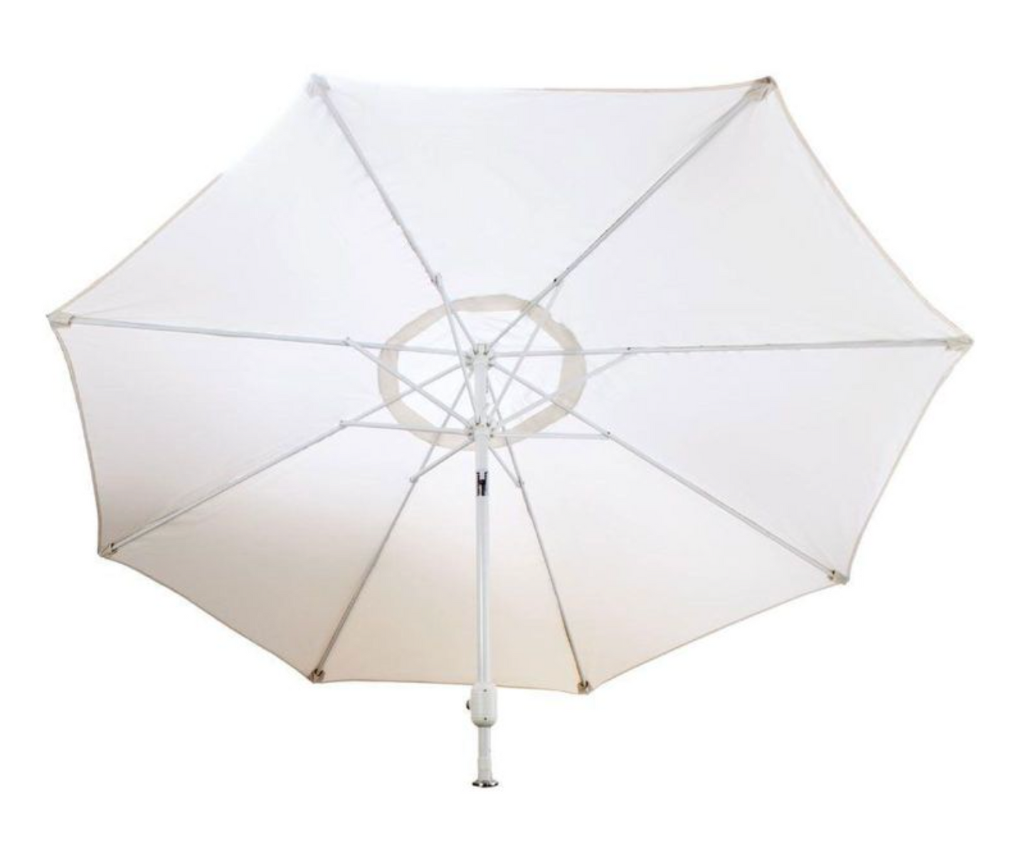 Lion Umbrella 9'